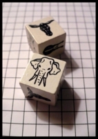 Dice : Dice - 6D - Political Dice Set - Piar